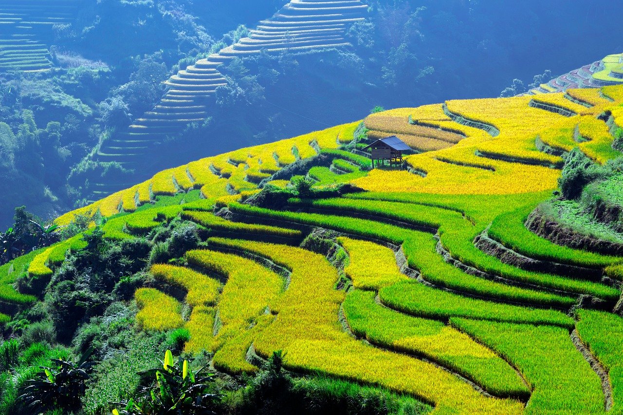 Northern Vietnam countryside