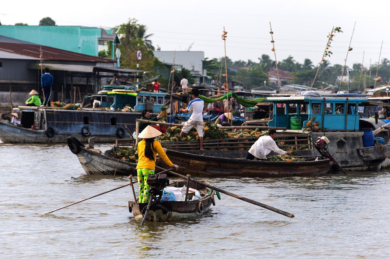 Mekong Delta farms