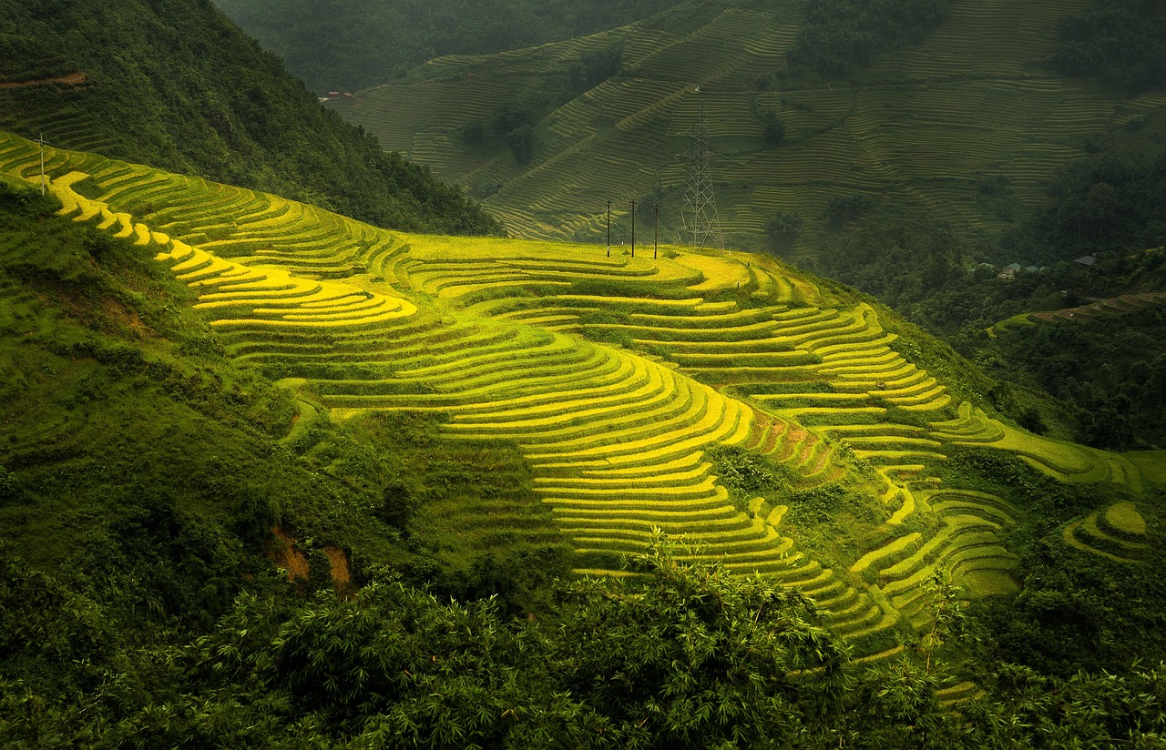 Sapa mountains